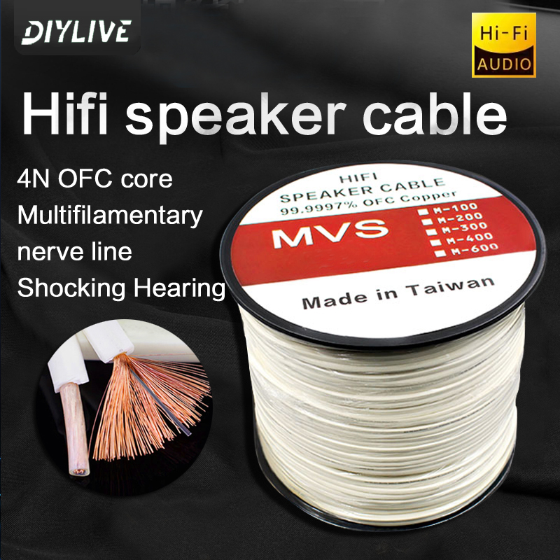 Home Cinema Xlr - DIYLIVE HiFiスピーカーライン ホームシアター 車改造用 パワーアンプ内蔵 サラウンドサウンド