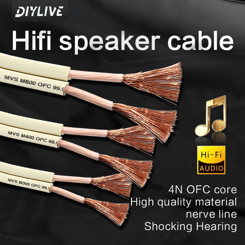 DIYLIVE HiFiスピーカーライン ホームシアター 車 - Home Cinema Xlr のレビューと価格