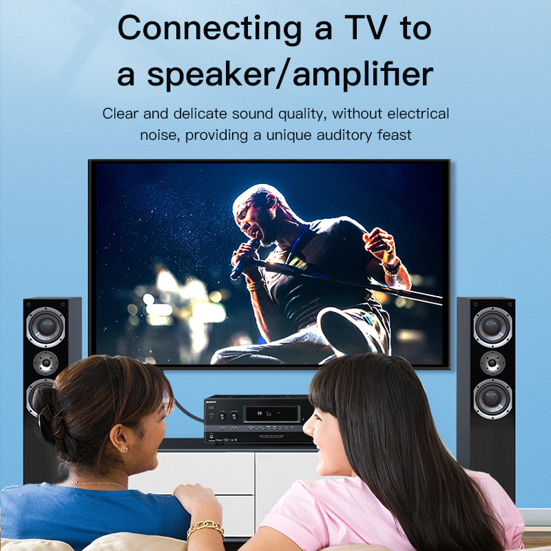 CHOSEAL RCAケーブル デジタル同軸オーディオケーブ - Home Cinema Beamer のレビューと価格